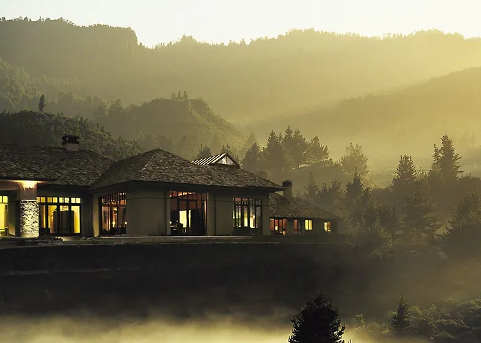 Treetops Lodge & Estate
